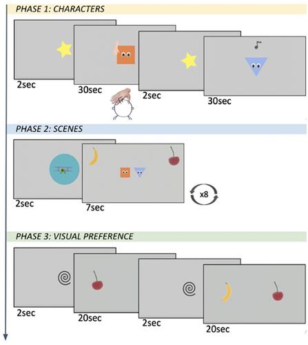 Touch and look: The role of affective touch in promoting infants' attention towards complex visual scenes