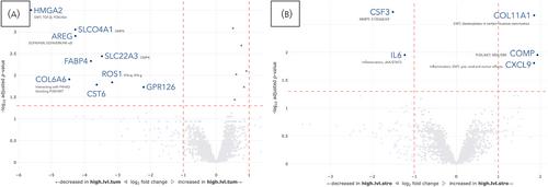 Mesenteric fibrosis in patients with small intestinal neuroendocrine tumors is associated with enrichment of alpha-smooth muscle actin-positive fibrosis and COMP-expressing stromal cells