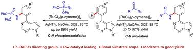 Ruthenium-catalysed direct C–H amidation of 4-aryl-pyrrolo[2,3-d]pyrimidines with acyl/phosphoryl azides†