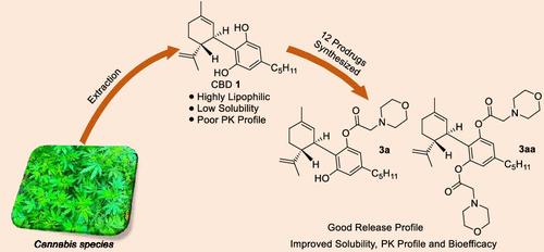 Cannabidiol-Based Prodrugs: Synthesis and Bioevaluation