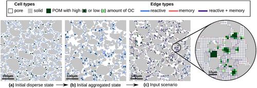 Coupling scales in process-based soil organic carbon modeling including dynamic aggregation