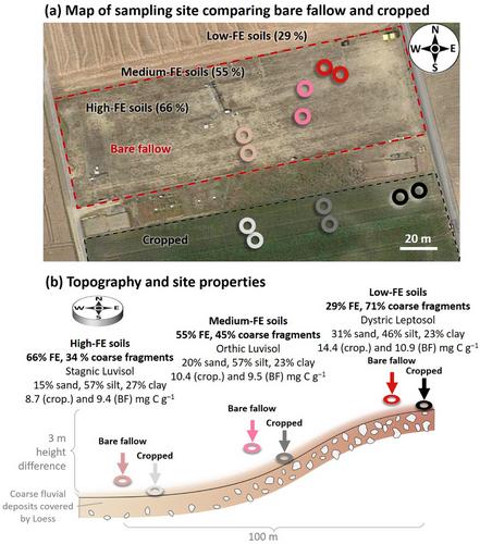 Impact of bare fallow management on soil carbon storage and aggregates across a rock fragment gradient