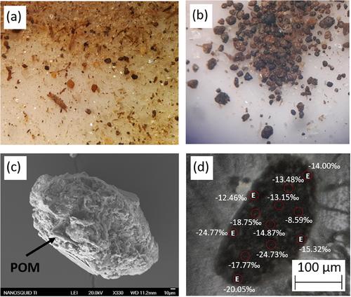 Turnover of soil microaggregate-protected carbon and the challenge of microscale analyses