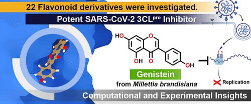 Inhibitory Activity of Flavonoid Scaffolds on SARS-CoV-2 3CLpro: Insights from the Computational and Experimental Investigations