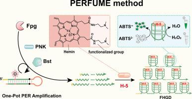 NNNPERFUME: Detection of 8-oxoguanine DNA glycosylase activity based on primer exchange reaction and functionalized hemin/G-quadruplex DNAzyme