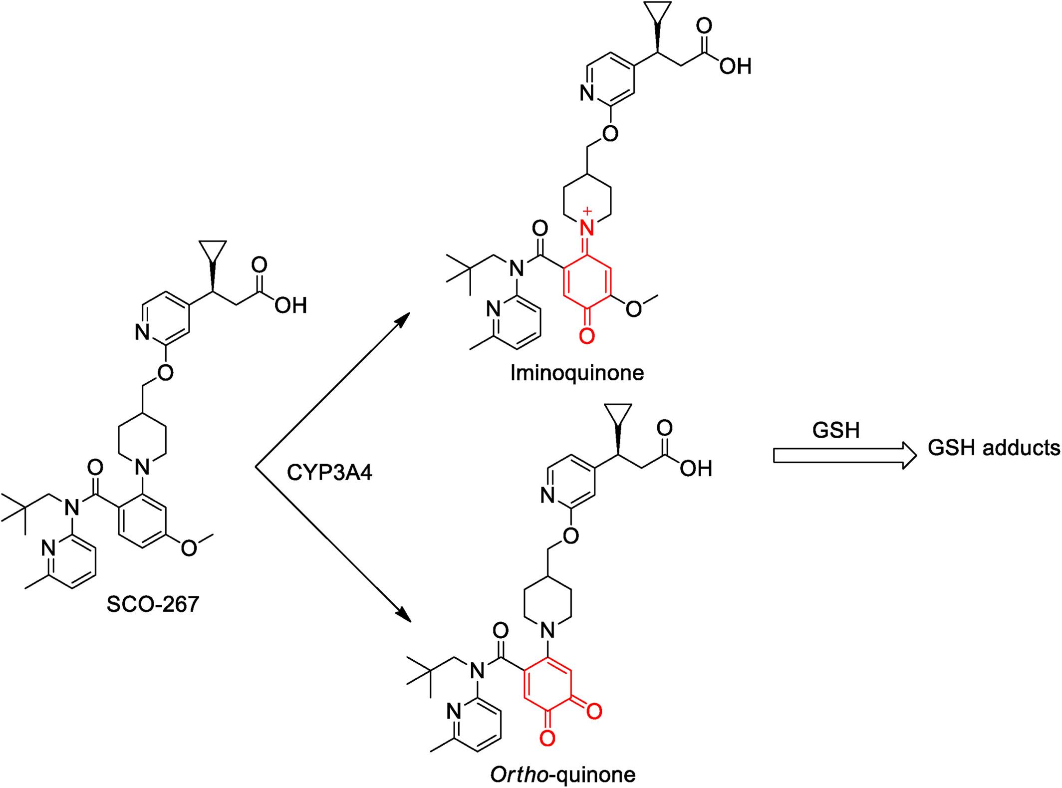 Evidence for cytochrome P450 3A4-mediated metabolic activation of SCO-267