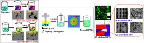 A smart thermoresponsive macroporous 4D structure by 4D printing of Pickering-high internal phase emulsions stabilized by plasma-functionalized starch nanomaterials for a possible delivery system