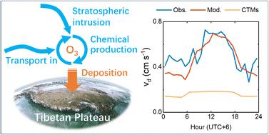 Improving model representation of rapid ozone deposition over soil in the central Tibetan Plateau†