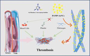 Mercaptopyrimidine-templated gold nanoclusters for antithrombotic therapy†