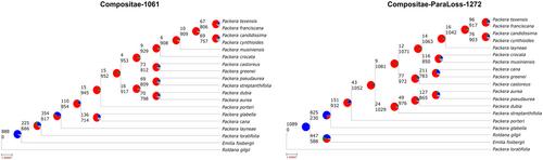 Compositae-ParaLoss-1272: A complementary sunflower-specific probe set reduces paralogs in phylogenomic analyses of complex systems