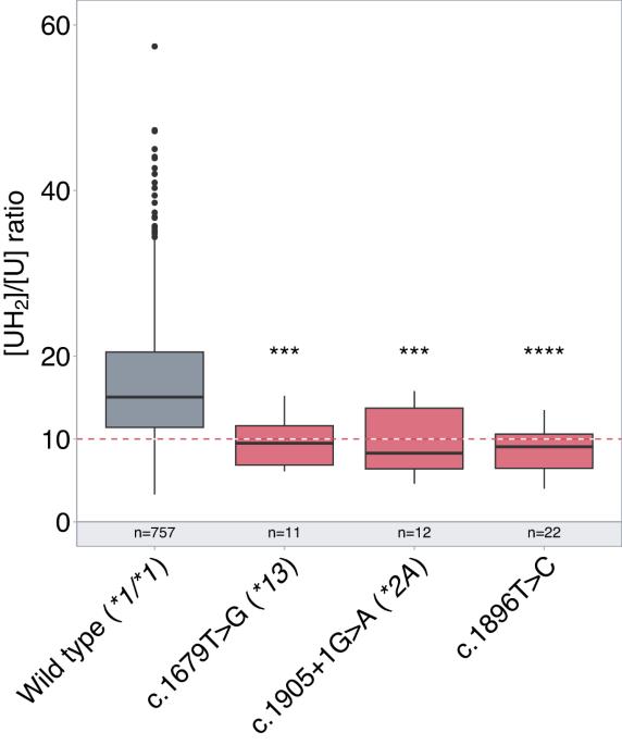 Integrating rare genetic variants into DPYD pharmacogenetic testing may help preventing fluoropyrimidine-induced toxicity