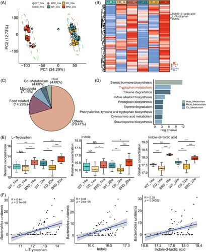 Black rice diet alleviates colorectal cancer development through modulating tryptophan metabolism and activating AHR pathway