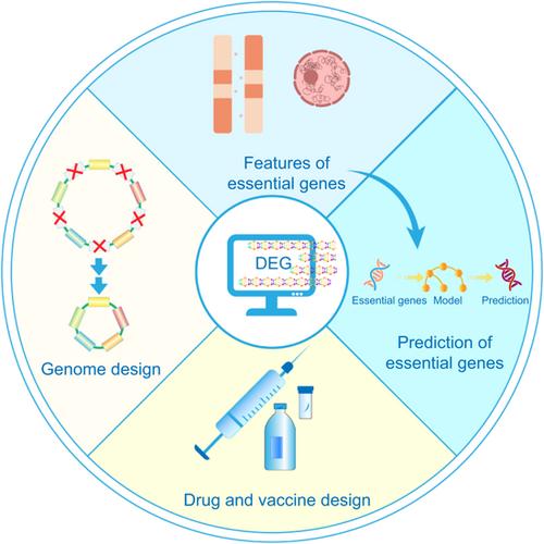 Recent advances in the characterization of essential genes and development of a database of essential genes