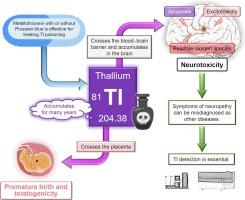 Thallium - poisoner’s poison: An overview and review of current knowledge on the toxicological effects and mechanisms