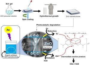 Evaluation of the photocatalytic activity of ZnO nanorods and nanoflowers grown from seed layers deposited by spin coating