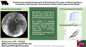 Technical and analytical approach to biventricular pressure-volume loops in swine including a completely endovascular, percutaneous closed-chest large animal model