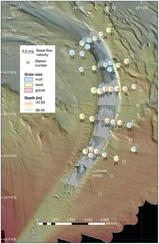 Benthic biology influences sedimentation in submarine channel bends: Coupling of biology, sedimentation and flow