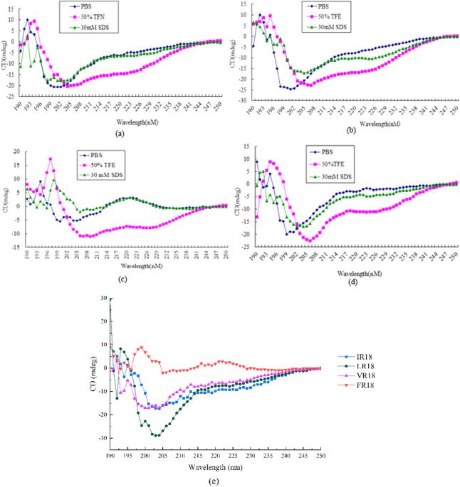 Design, biological characteristics, and antibacterial mechanism of high therapeutic index antimicrobial peptides with PRRP as central axis