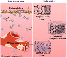 Bone marrow-inspired hydrogel/graphene composite scaffolds to support in vitro expansion of hematopoietic stem cells†