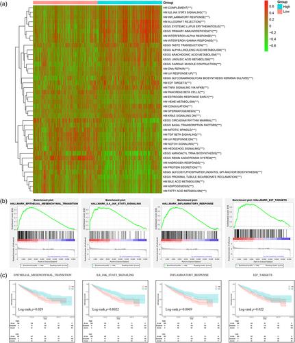 Clinical significance, molecular characterization, and immune microenvironment analysis of coagulation-related genes in clear cell renal cell carcinoma