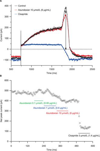 No Influence of Asundexian on Cardiac Repolarization