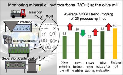 Evaluation of the impact of olive milling on the mineral oil contamination of extra-virgin olive oils