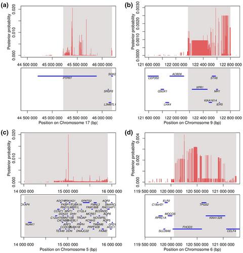 Genome-wide association analysis revealed new QTL and candidate genes affecting the teat number in Dutch Large White pigs