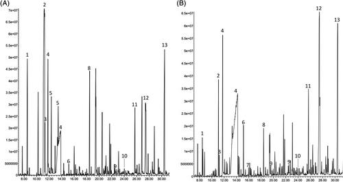 Clinical, biochemical and molecular characterization of a new case with FDX2-related mitochondrial disorder: Potential biomarkers and treatment options