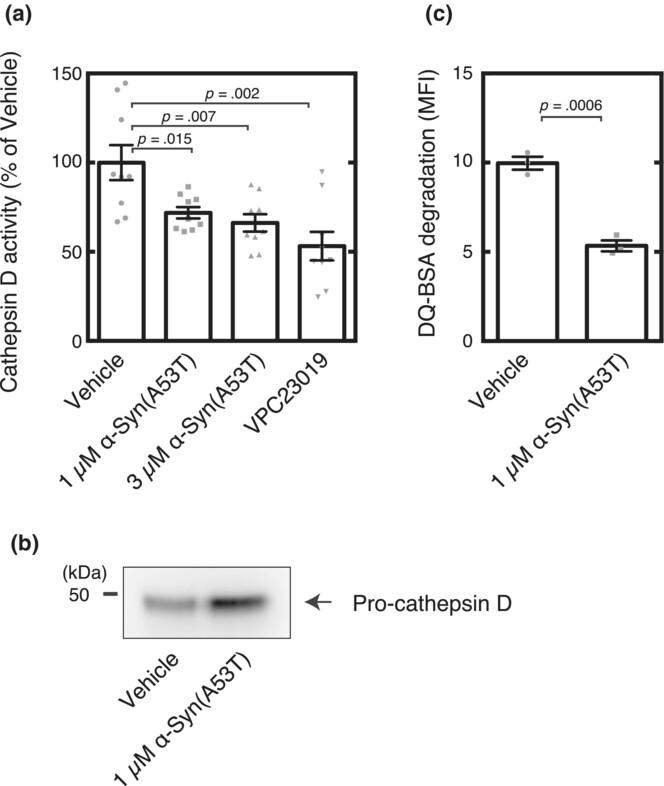 Extracellular α-synuclein impairs sphingosine 1-phosphate receptor type 3 (S1PR3)-regulated lysosomal delivery of cathepsin D in HeLa cells