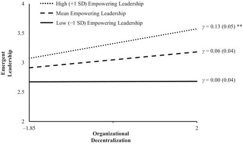 Power to the people—And then? A multilevel leadership perspective on organizational decentralization