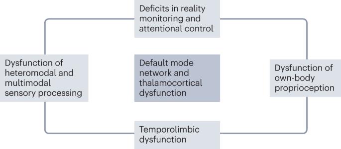 Parkinson disease psychosis: from phenomenology to neurobiological mechanisms