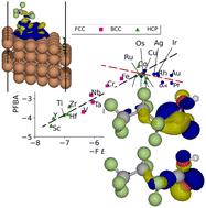 What can Blyholder teach us about PFAS degradation on metal surfaces?†