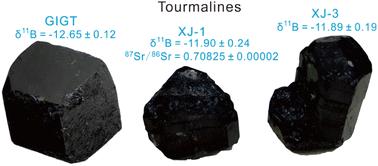 Potential tourmaline reference materials for microbeam B and Sr isotopic analyses†