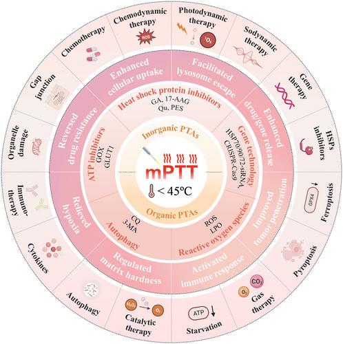 Nanomedicine-Enabled Mild Photothermal Therapy Strategies for Enhanced Antitumor Treatment