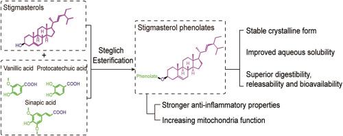 Phytosterol organic acid esters: Characterization, anti-inflammatory properties and a delivery strategy to improve mitochondrial function