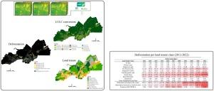 AMACRO: the newer Amazonia deforestation hotspot and a potential setback for Brazilian agriculture