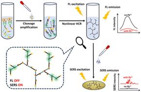 A novel dual-mode aptasensor based on a multiple amplification system for ultrasensitive detection of lead ions using fluorescence and surface-enhanced Raman spectroscopy†