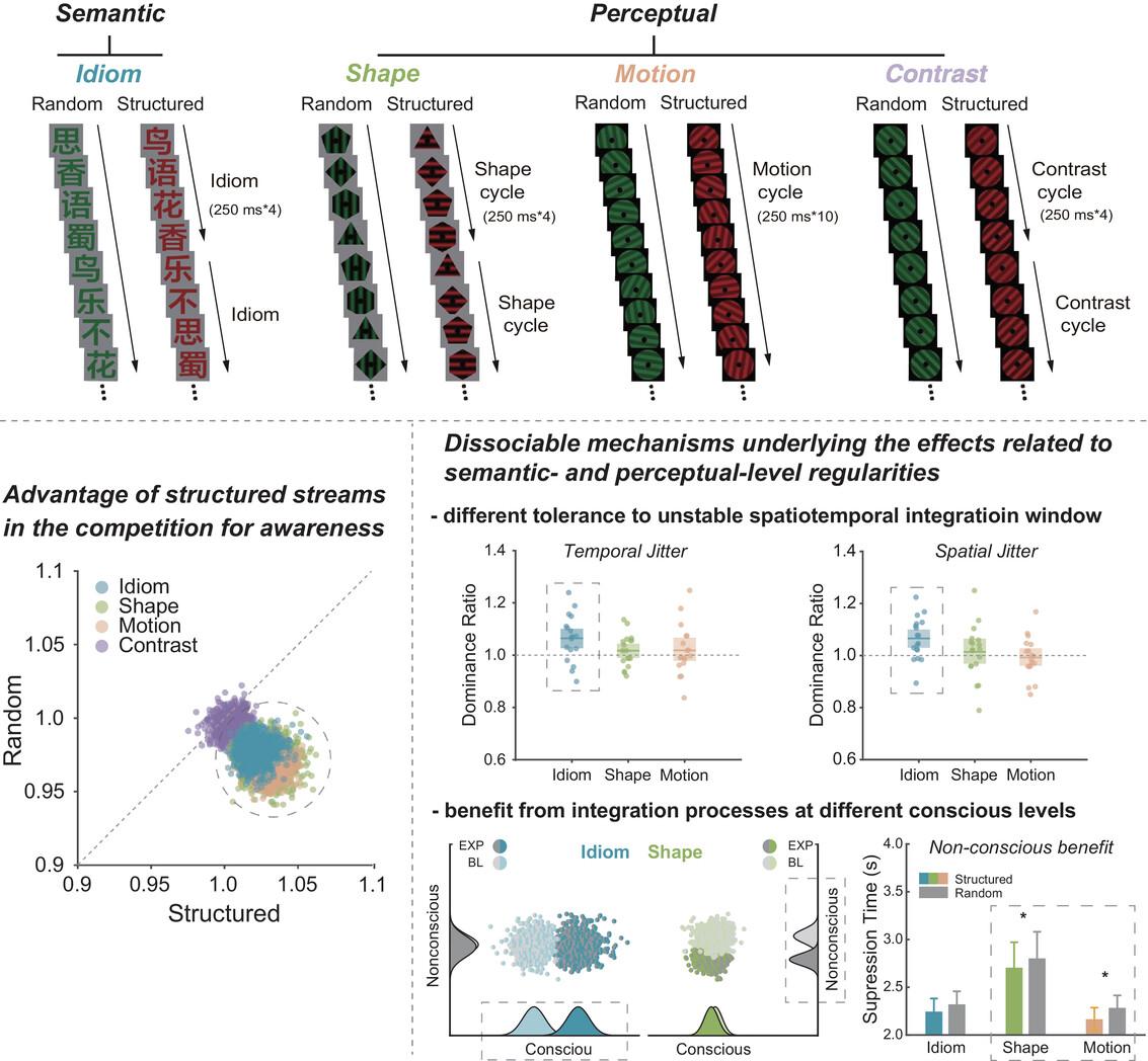 Temporal integration by multi-level regularities fosters the emergence of dynamic conscious experience