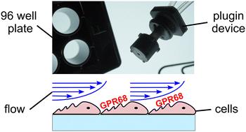 Quantitative mechanical stimulation of GPR68 using a novel 96 well flow plugin†