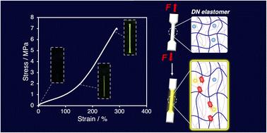 Visualization of mechanochemical polymer-chain scission in double-network elastomers using a radical-transfer-type fluorescent molecular probe†