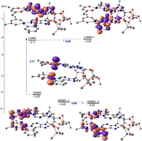 Nucleobase Stacking Sustained by Pt−Pt Interactions