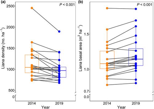 Lianas shift towards larger sizes and more acquisitive trait values in an Asian tropical rainforest