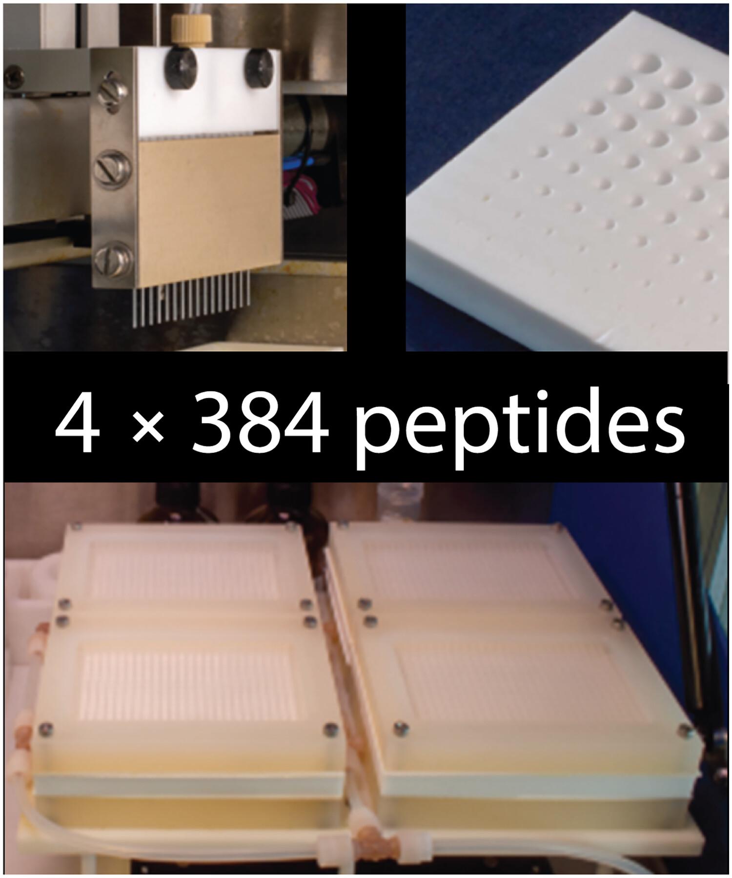 Solid-phase peptide synthesis in 384-well plates