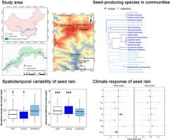 Plant life form determines spatiotemporal variability and climate response of plant seed rain in subtropical forests