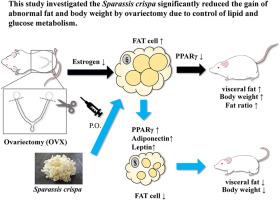 Wood cauliflower mushroom (Sparassis crispa) suppresses the body weight and visceral fat increased by ovariectomy in mice