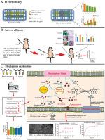 Rhein against Staphylococcus xylosus by interfering with respiratory metabolism and inducing oxidative stress