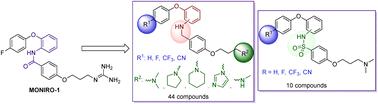 Inhibition of N-type calcium channels by phenoxyaniline and sulfonamide analogues†