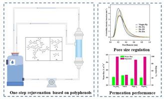 One-step rejuvenation for prolonging running lifespan of nanofiltration membranes