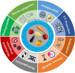 Lipid incorporated biopolymer based edible films and coatings in food packaging: A review