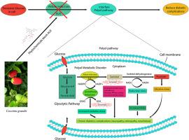 Harnessing the therapeutic potential of Coccinia grandis phytochemicals in diabetes: A computational, DFT calculation and MMGBSA perspective on aldose reductase inhibition